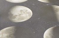 Forbo SureStep Цифровая печать, 17982 moon