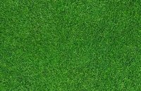 Forbo Flotex Image, 000369 grass