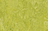 Forbo Marmoleum Authentic 3846 natural corn, 3224 chartreuse