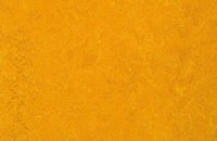 Forbo Marmoleum  Fresco 3267 aqua, 3125 golden sunset