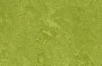Forbo Marmoleum  Fresco 3265 avocado, 3247 green