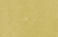 Forbo Marmoleum  Fresco 3131 scarlet, 3259 mustard