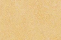 Forbo Marmoleum  Fresco 3262 marigold, 3846 natural corn