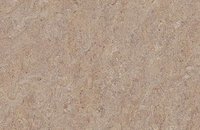 Forbo Marmoleum Terra 5803 weathered sand, 5803 weathered sand