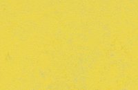 Forbo Marmoleum Decibel, 374135 yellow glow